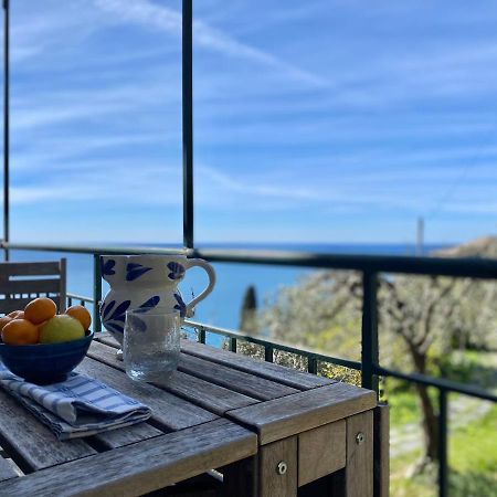 Casaviva - Ampio Trilocale Vista Mare Con Piscina - Pieve Alta Διαμέρισμα Pieve Ligure Εξωτερικό φωτογραφία