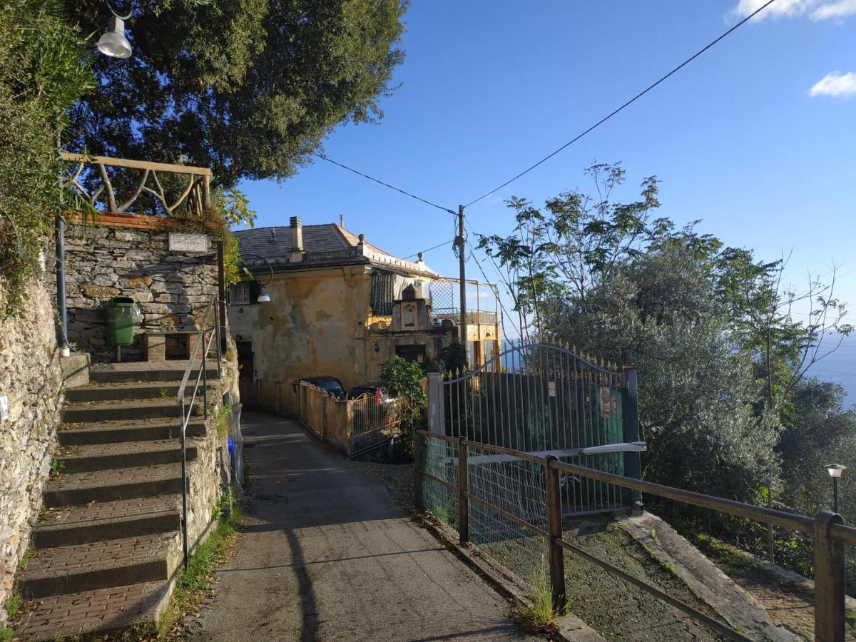 Casaviva - Ampio Trilocale Vista Mare Con Piscina - Pieve Alta Διαμέρισμα Pieve Ligure Εξωτερικό φωτογραφία